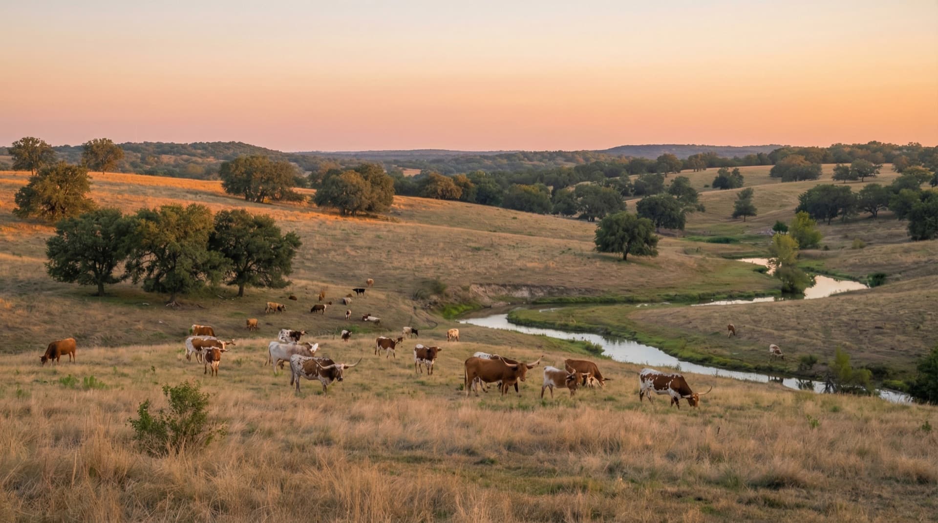 Consumer Litigation - Law Office of Christopher L. Davis